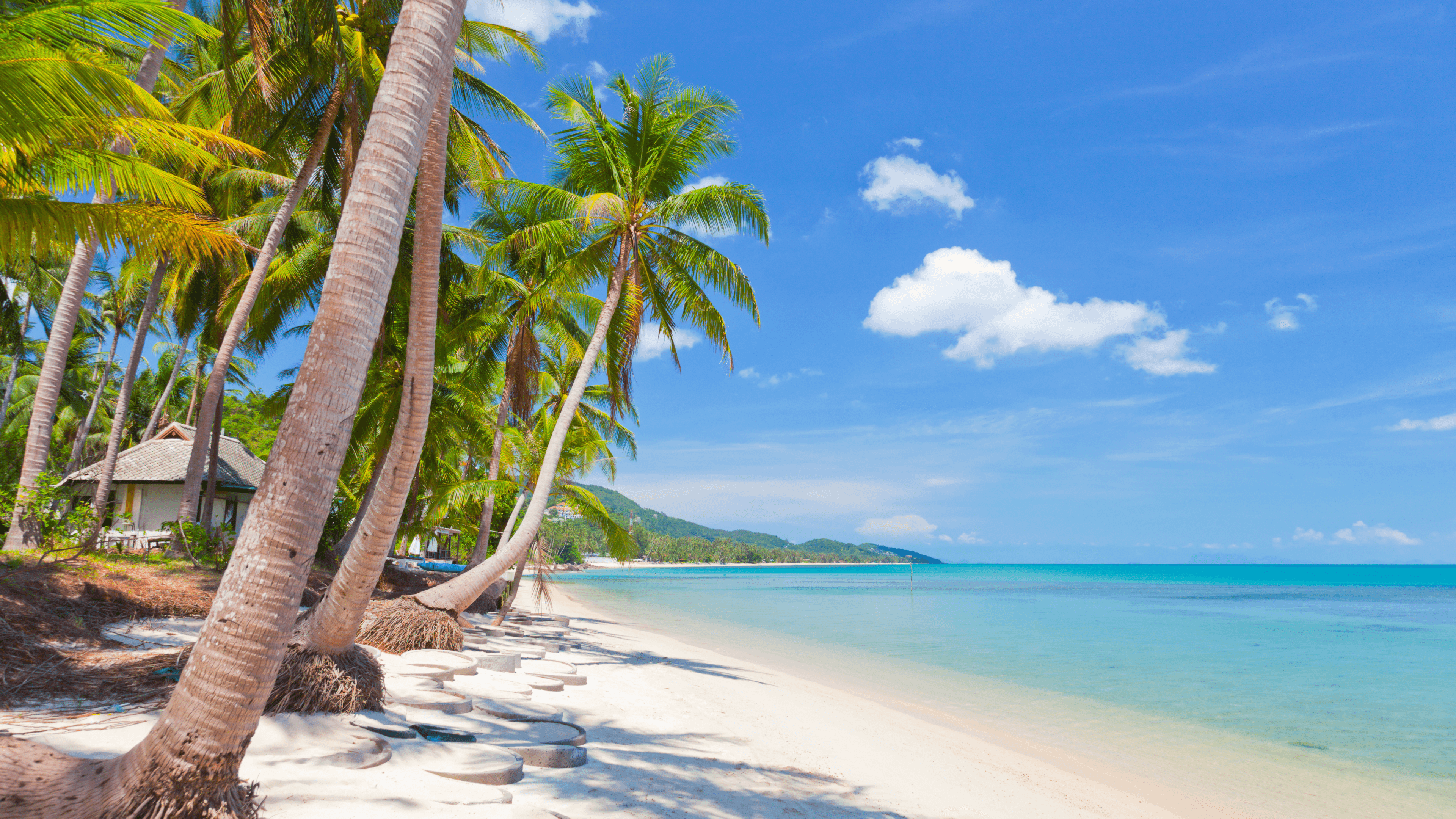 คู่มือเที่ยวเกาะสมุย 2568 — หาดที่ดีที่สุด กิจกรรม และการเดินทาง